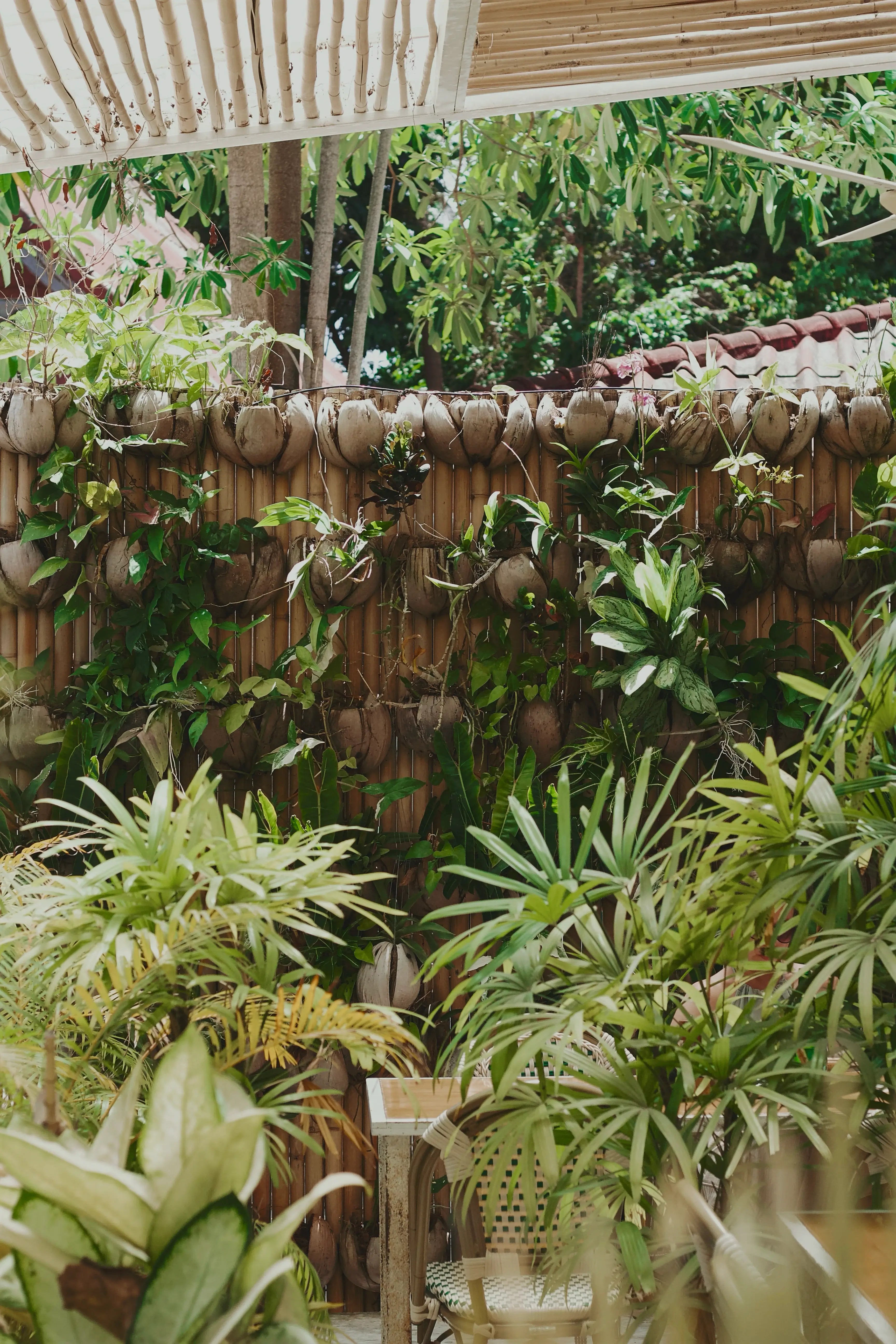 A picture of Bubba's Coffee in Koh Phangan