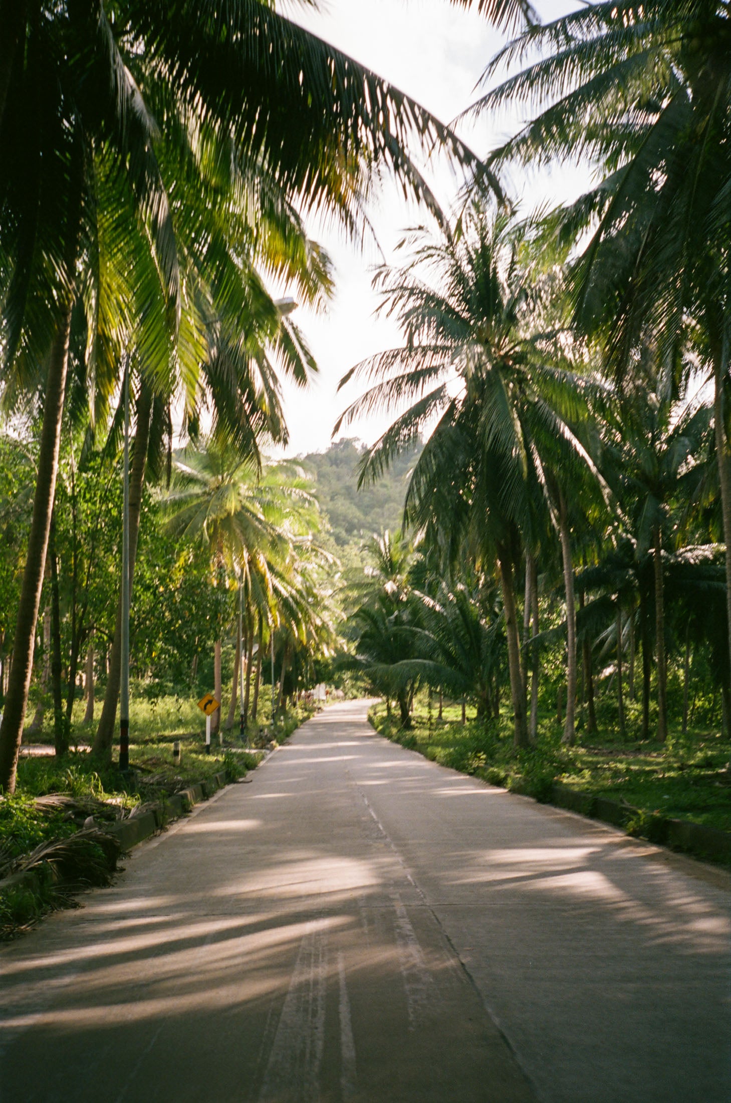 Bubbas_Coffee_Koh_Phangan-misc-Dean_Raphael-16.jpg